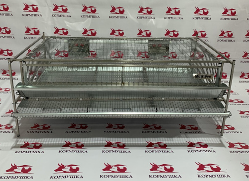 Клетка для перепелов "MultiPro" база-сетка (на 55 голов) 1шт**