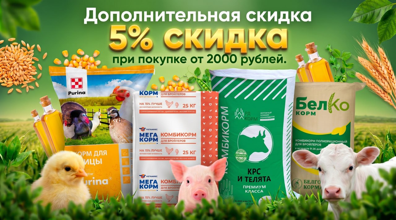 Дополнительная скидка 5% при покупке от 2000 рублей Дополнительная скидка 5% при покупке от 2000 рублей