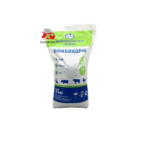 Креатив без названия (59)