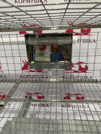 Клетка для перепелов "MultiPro" база-сетка (на 55 голов) 1шт**