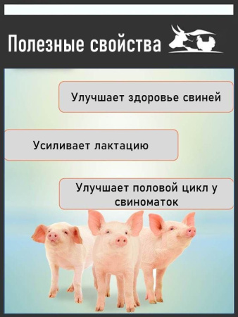 Лизин 15% кормовая добавка ( 500 гр/уп ) 1 шт