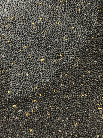 Семена Рапс ( 30 кг/м ) 1кг.