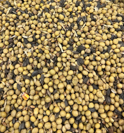 Соя кормовая 2 сорт с примесью семечки и др.зерновых (30кг/м) 1кг