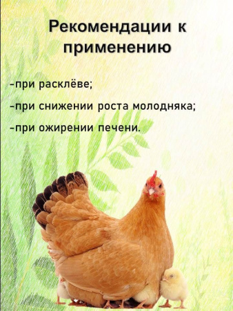 Метиовит кормовая добавка ( 1 кг/уп ) 1 шт 