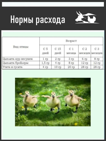 Премикс Здравур Цып-цып (250гр/уп) 1шт.