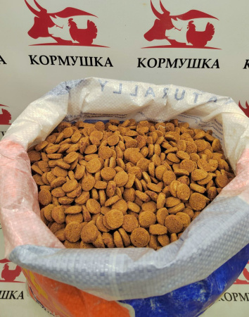 БЕСАР корм для собак крупных пород (15 кг/м) 1кг.