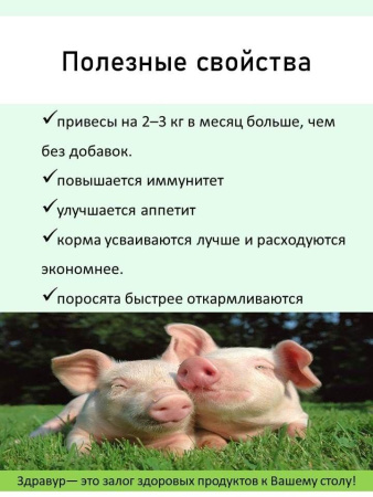 Премикс Здравур Боренька (600гр/уп) 1шт.