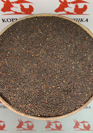 Семена Рапс ( 30 кг/м ) 1кг.