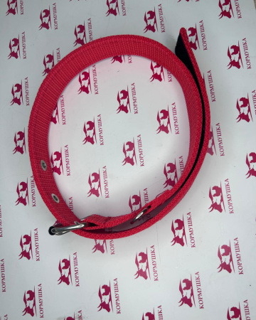 Ошейник брезентовый 30 х 720 мм двойной с липучкой, цветные, XQ-008, 1 шт.