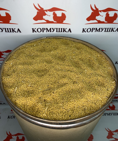 Семена Горчица (25 кг/меш) 1кг.