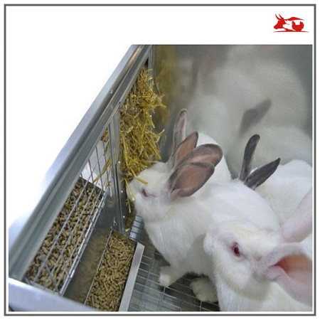 Клетка для кроликов ПРОФЕССИОНАЛ 95-КМ-1 маточная Престиж (1 самка, мет) 1шт**