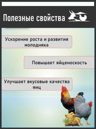 Лизин 15% кормовая добавка ( 500 гр/уп ) 1 шт