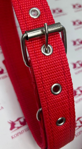 Ошейник брезентовый 30 х 720 мм двойной с липучкой, цветные, XQ-008, 1 шт.